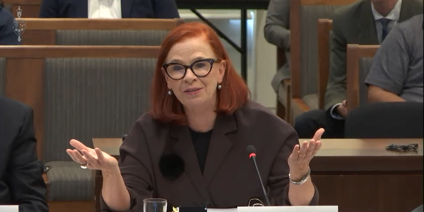 CBC CEO Catherine Tait appearing at the Standing Committee on Canadian Heritage's meeting on Oct. 21, 2024.